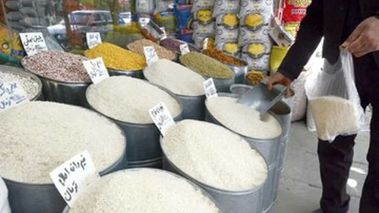 ۲۰ سال تا نابودی برنج شمال! + علت