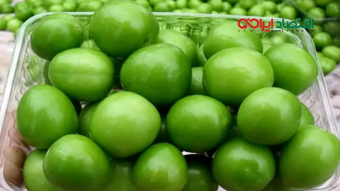 نوبرانه میلیونی دور از سفره مردم / ۱۰ میلیون برای چند دانه گوجهسبز!