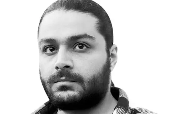 شتاب در فیبر، سکون در سیاست