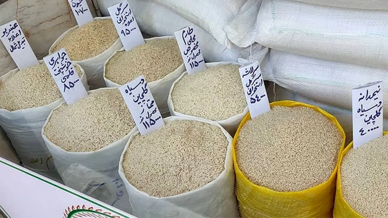 برنج ایرانی ارزان شد!