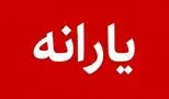 دولت در سال ۱۴۰۵ دست به جیب شد؛ سه یارانه جدید برای مردم!