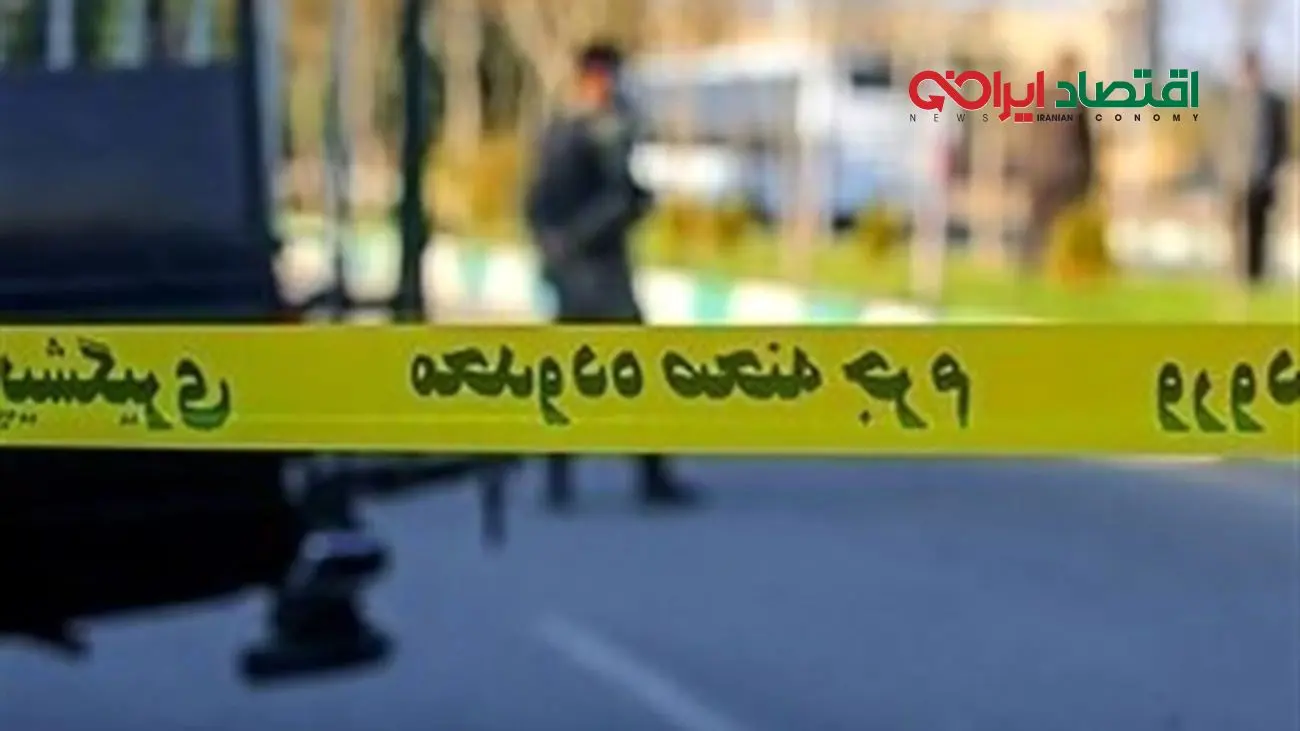 دام زنده در کدام استانها ارزانتر و در کدام گرانتر است؟