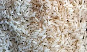 قیمت‌های حیرت‌آور برنج ایرانی و پاکستانی در بازار