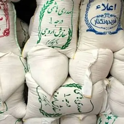 قیمت برنج ایرانی امروز ۲۹ مرداد ۱۴۰۴ - برنج گیلان چند؟ + جدول