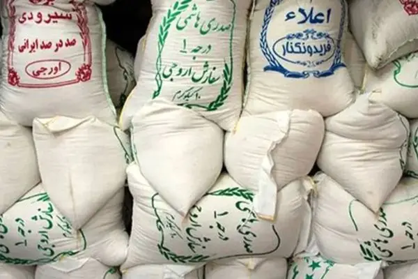 قیمت برنج ایرانی امروز ۲۹ مرداد ۱۴۰۴ - برنج گیلان چند؟ + جدول