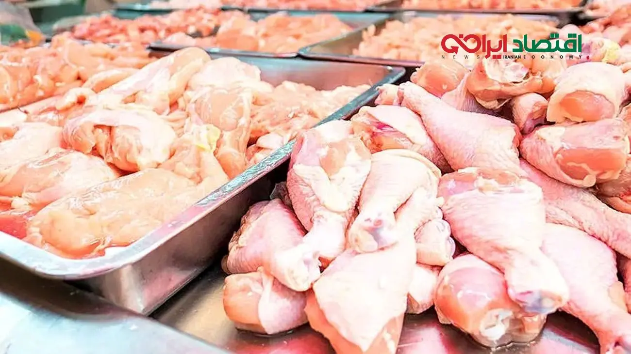 پشت پرده گرانی مرغ فاش شد؛ دعوای عجیب دو قوه کشور!