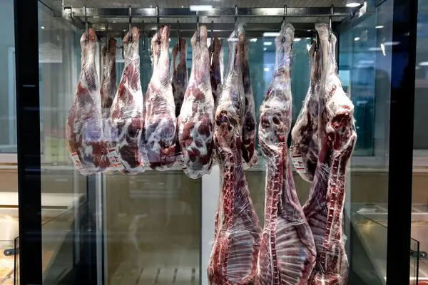 قیمت جدید گوشت قرمز / گوشت یخ‌زده هم گران‌ شد