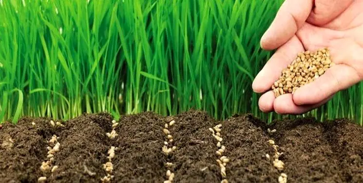 این کشاورزان بیمه کمتری پرداخت میکنند