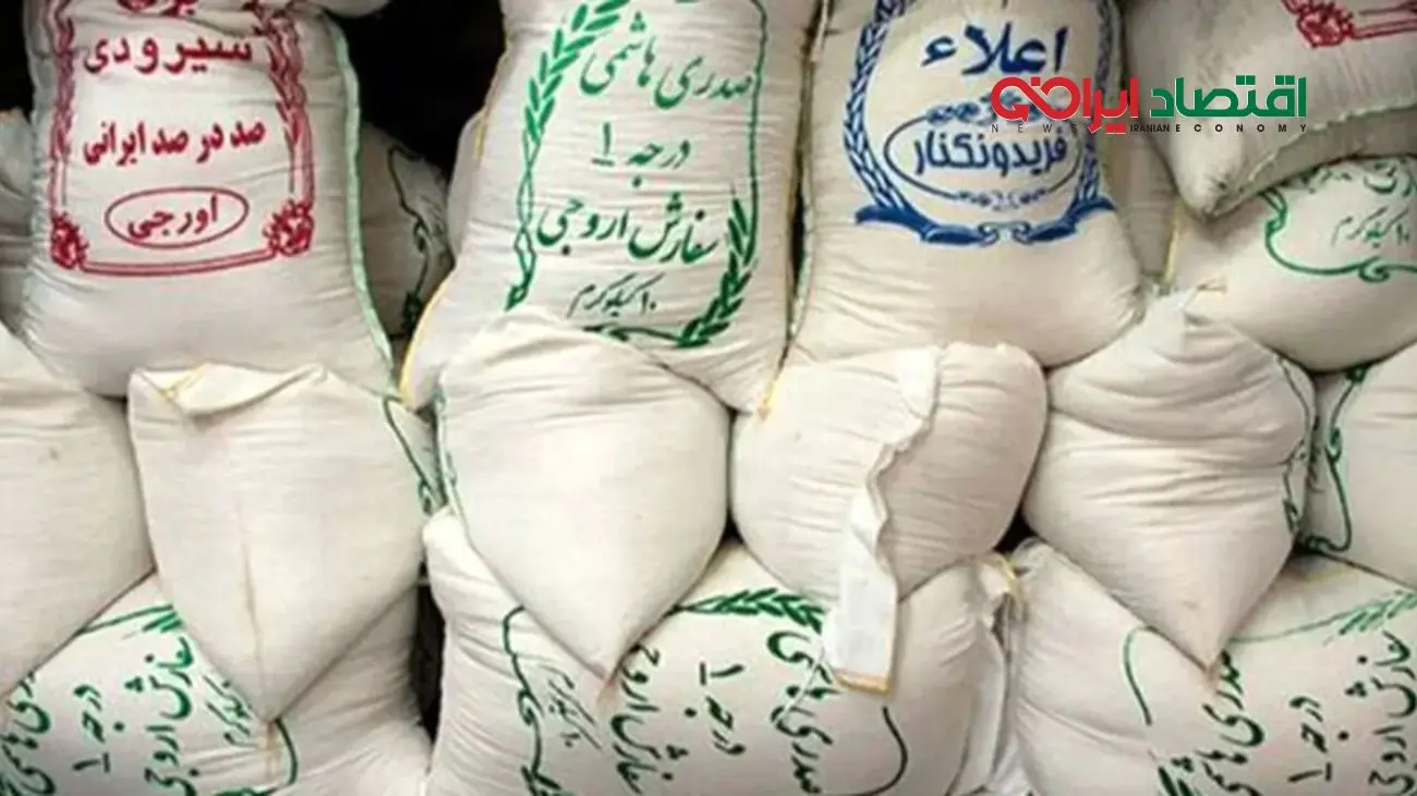 بررسی قیمت انواع برنج ایرانی در مهرماه ۱۴۰۴: جدول دقیق هاشمی، طارم و شیرودی