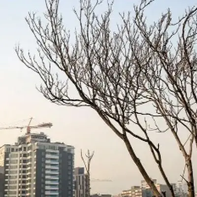 چالش ۸۹ ساله تهرانی‌ها برای خرید خانه