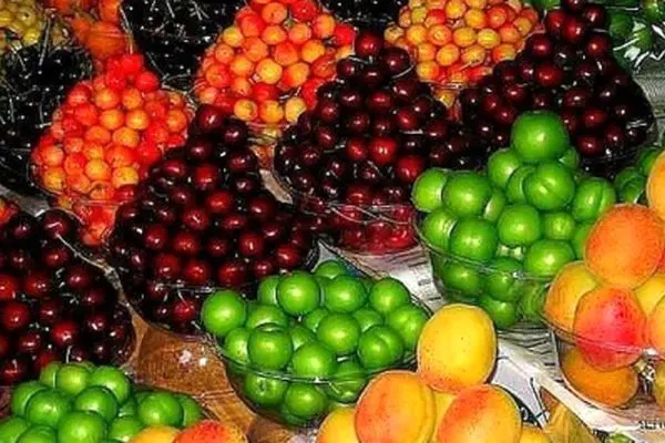 شوک بزرگ به بازار! قیمت میوه‌های نوبرانه سر به فلک کشید