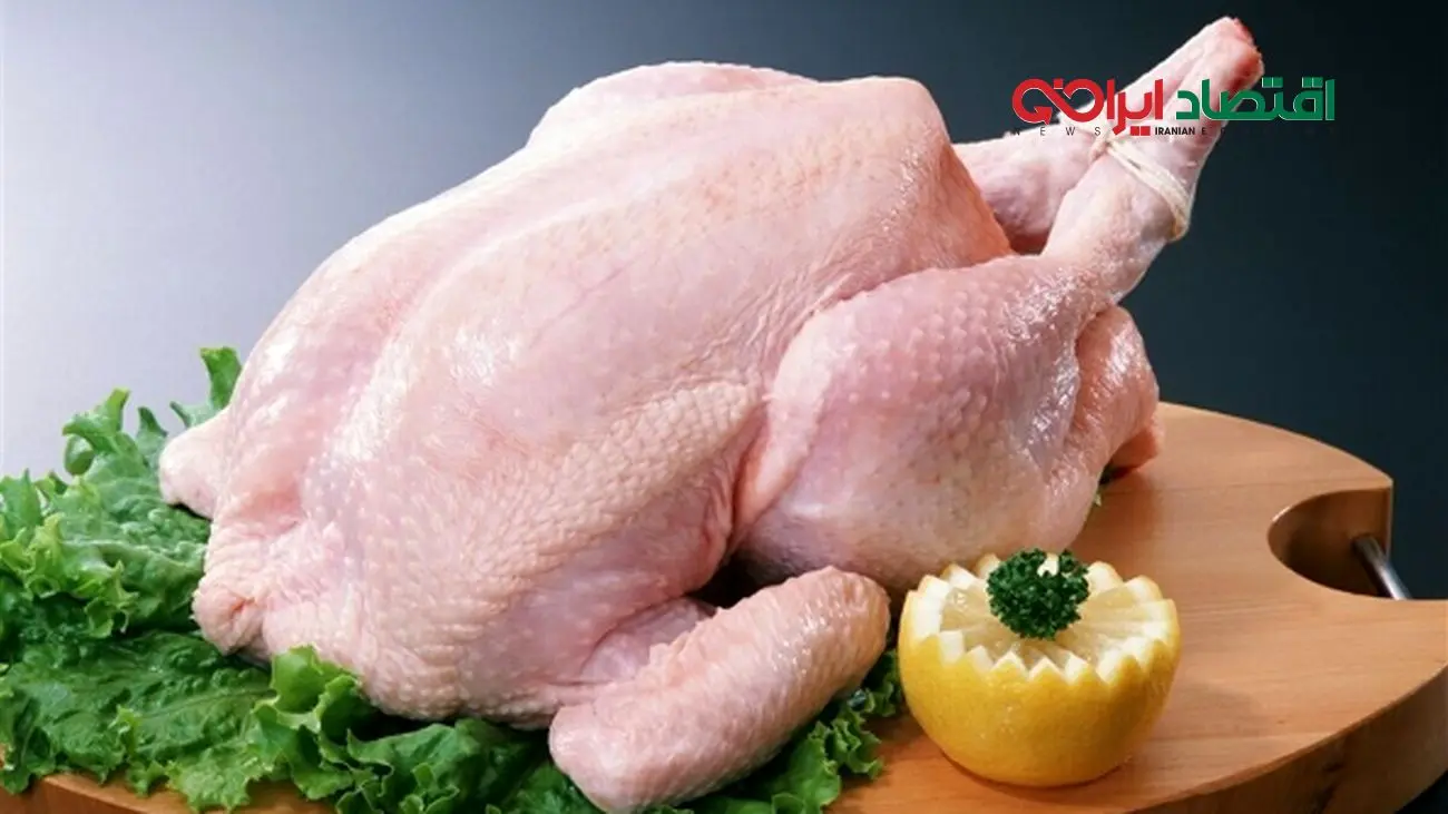 جدول قیمت گوشت مرغ امروز دوشنبه ۳۱ شهریور ۱۴۰۴/ فیله و ران مرغ چند؟