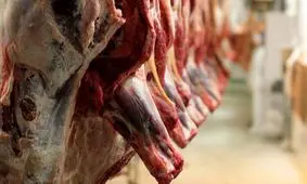 گوشت قرمز بخریم یا نه؟ / هشدار درباره گوشت‌های وارداتی!
