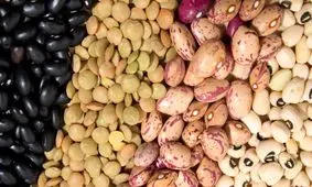 جدیدترین قیمت‌های مصوب حبوبات وارداتی اعلام شد