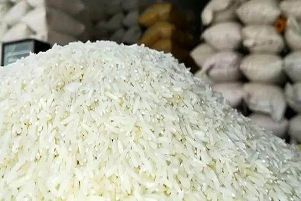 نماینده مجلس می‌گوید/ کاهش قیمت برنج ایرانی خطرناک است، باید گران‌تر باشد!