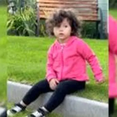 راز بزرگ تزئین درخت کریسمس با دستان کوچک نبات استخری! + فیلم