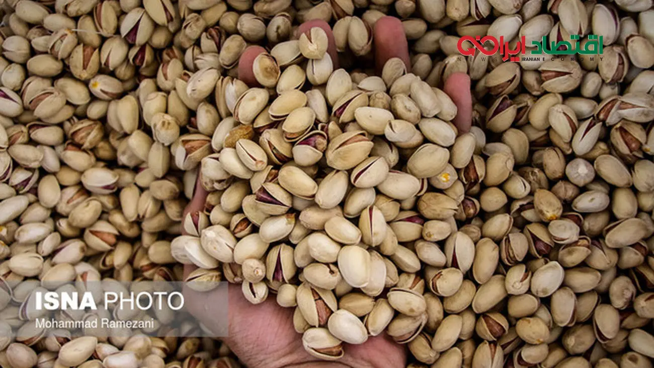وضعیت صادرات پسته / روسیه و امارات  در صدر مشتریان طلای سبز ایران