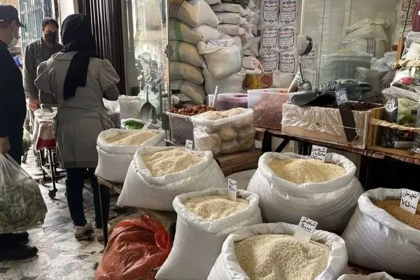 قیمت عجیب برنج ایرانی، کیلویی ۴۳۲ هزار تومان؛ پایان خوش عطری که در سفره‌ها بود!