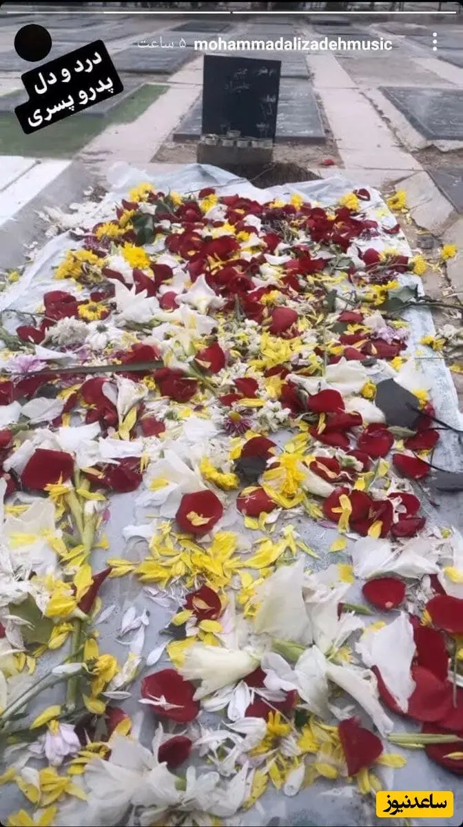 قبر