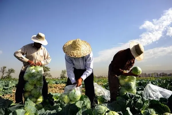 آب تهران حراج شد! هدررفت دوماهه مصرف آب تهرانی‌ها
