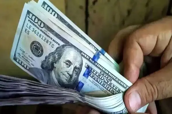 اسم این وضعیت اقتصاد نیست، تاراج دارایی مردم است