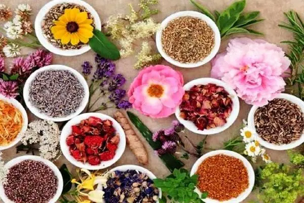 محصول صادراتی که باور هم نمی کنید