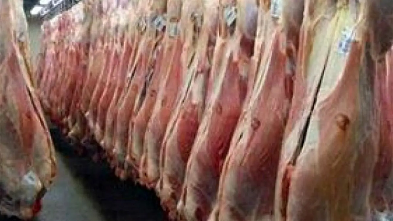 قیمت جدید انواع گوشت قرمز در بازار خوراکی