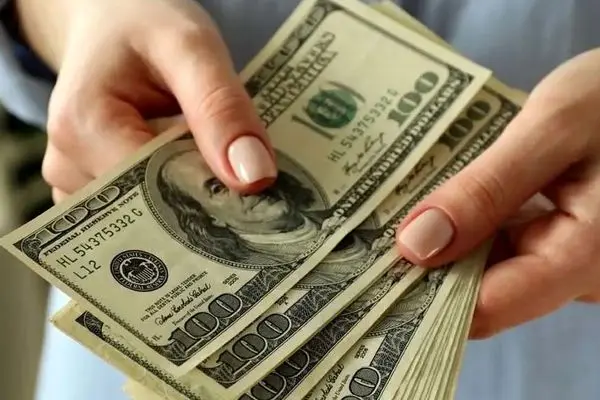 بحران ارزی در دولت؛ اختلاف نهادهای اقتصادی بالا گرفت!