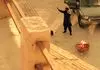 هومن برق‌نورد با فیلم جنجالی «لیپار» کولاک کرد! + تیزر