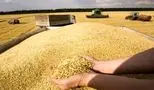 شوک جدید به مردم؛ نان گرانتر می‌شود؟