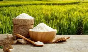 تحولات جدید بازار برنج/ آیا باید منتظر افزایش قیمت باشیم؟
