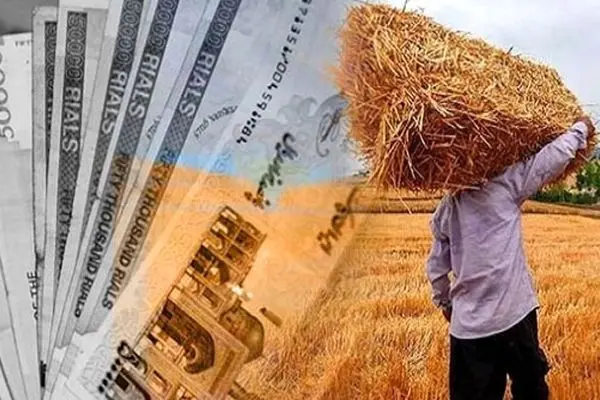 خبر خوش برای گندمکاران؛ اعلام واریزی جدید!