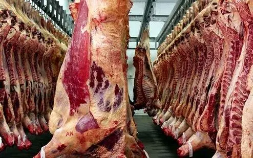 دلیل افزایش قیمت گوشت قرمز چیست ؟! / رئیس اتحادیه بالاخره گفت !