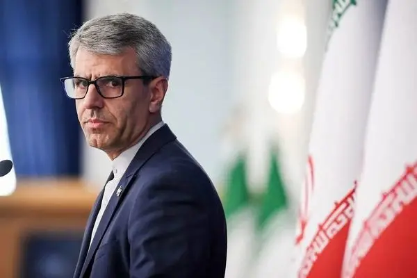بقایی: دستگاه دیپلماسی را معطل یک یا چند روند مذاکراتی نکردیم