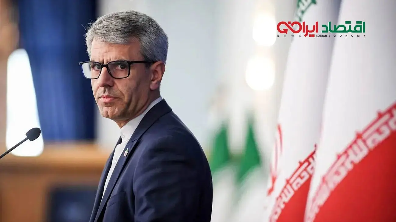 بقایی: دستگاه دیپلماسی را معطل یک یا چند روند مذاکراتی نکردیم