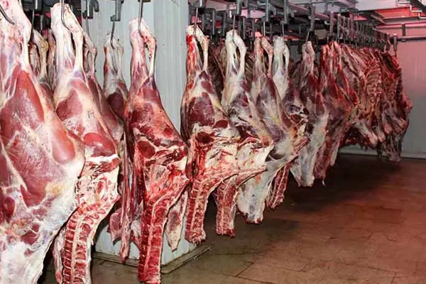 جدیدترین قیمت گوشت قرمز امروز ۱ مرداد ۱۴۰۳/ گوشت گران شد؟ + جدول
