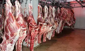 راهکار اساسی تنظیم بازار گوشت قرمز چیست؟ + دلایل گرانی گوشت