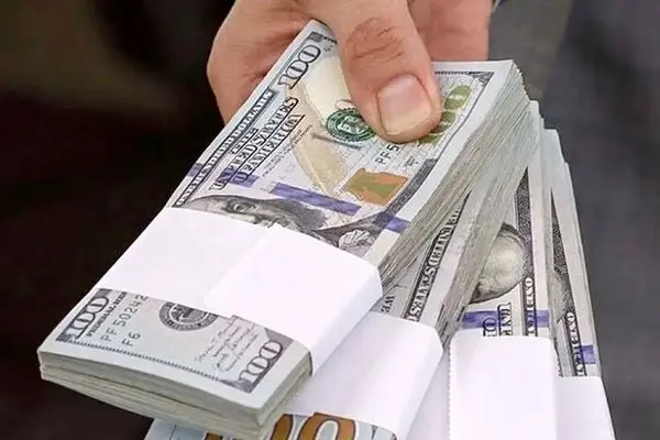 ۷ سال نسخه‌پیچی ارزی؛ دلار همچنان افسارگسیخته!