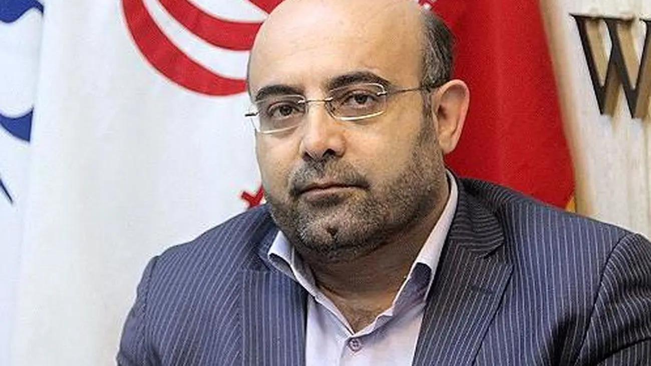 تشکیل سازمان بازرگانی گرانی را کنترل نمیکند