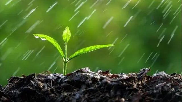 راهکار عجیب وزیر کشاورزی / آیا رویای آب سبز تعبیر دارد؟