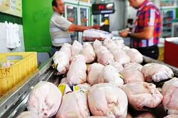 گرانی مرغ به دلیل کمبود نهاده؛ زنگ خطر برای سفره‌های ایرانی