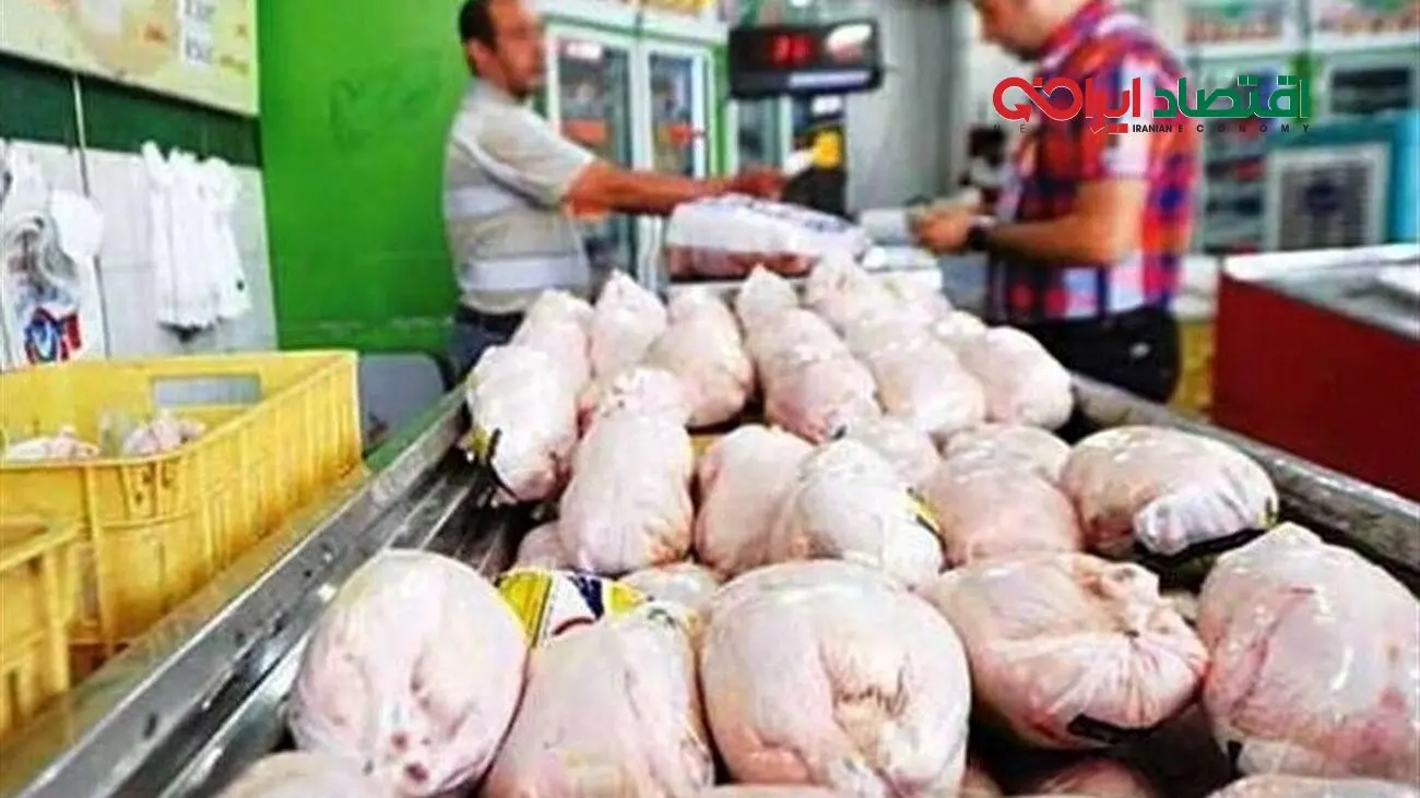 گرانی مرغ به دلیل کمبود نهاده؛ زنگ خطر برای سفره‌های ایرانی