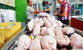 گرانی مرغ به دلیل کمبود نهاده؛ زنگ خطر برای سفره‌های ایرانی