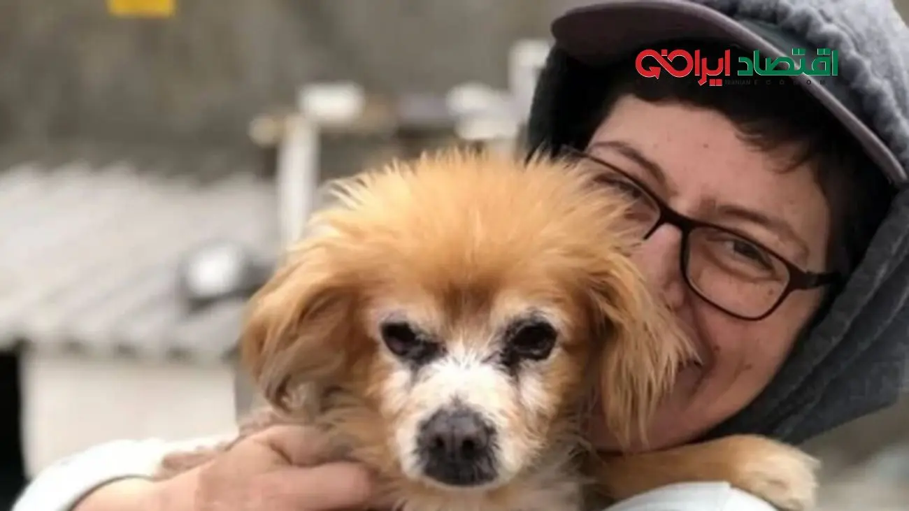 ویدیوی تعریف عاشقانه همسر سوسن پرور بعد از 20 سال زندگی مشترک