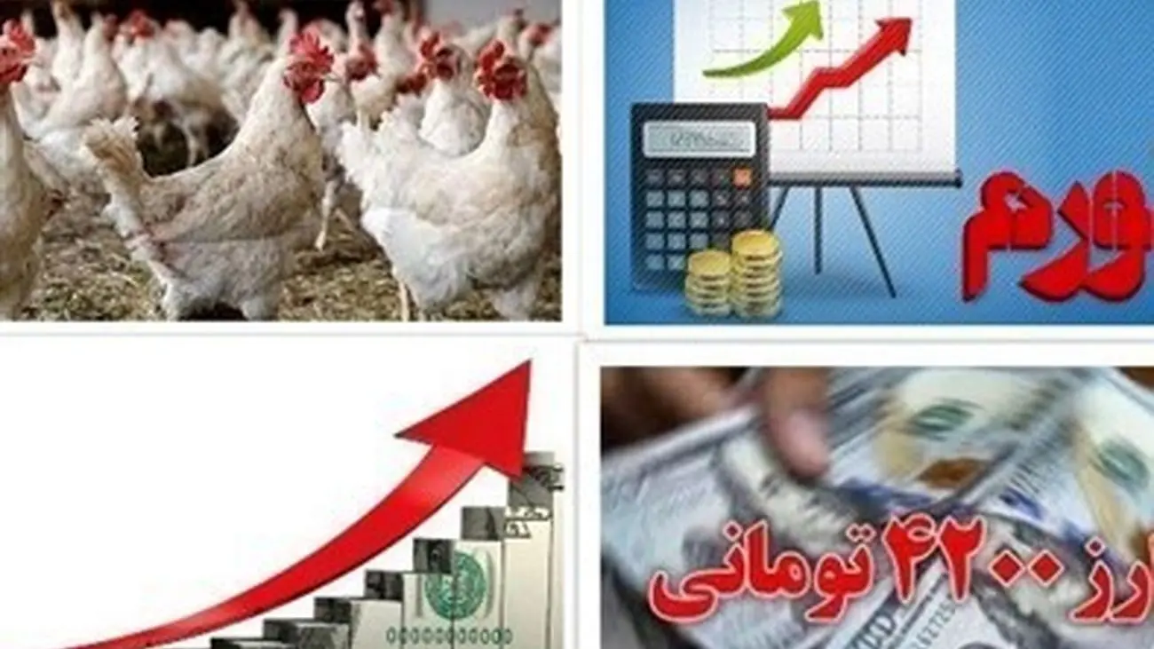 مقصر گرانی اخیر مرغ کیست؟ / چرا قیمت مرغ به کیلویی ۱۰۰ هزار تومان رسید؟