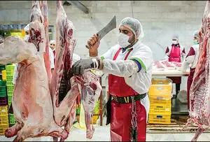 جدیدترین قیمت گوشت در بازار / علت گرانی گوشت قرمز چیست؟!