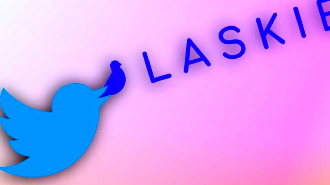 اولین خرید توییتر تحت مدیریت ایلان ماسک انجام شد: استارتاپ کاریابی Laskie