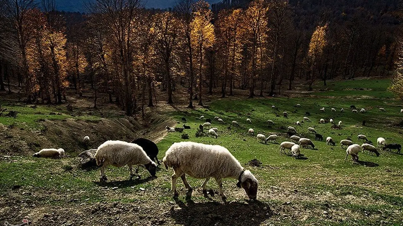 یک میلیارد تومان برای حفاظت از ۸۵ میلیون هکتار اراضی کشور!
