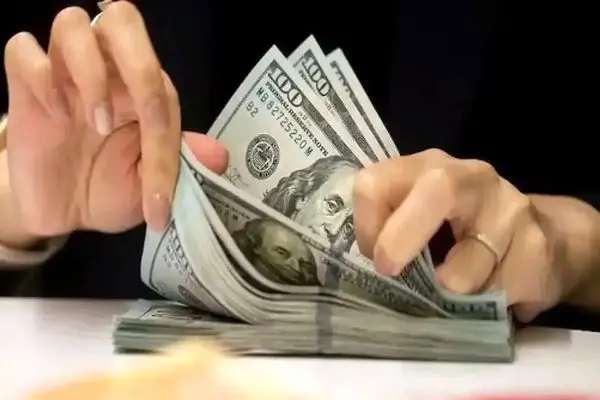 پیش‌بینی جنجالی یک اقتصاددان درباره آینده دلار!