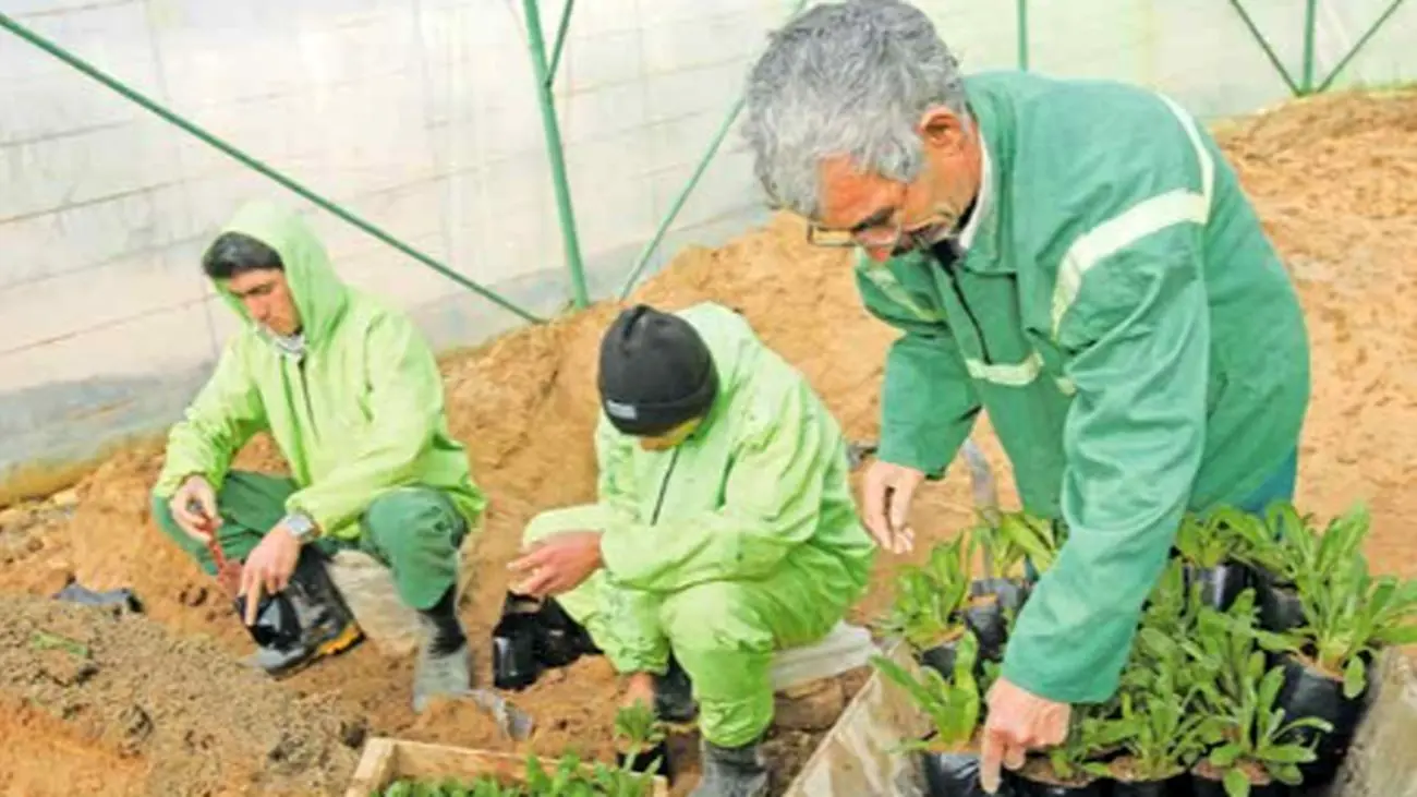 فرصت طلایی برای کارگران ایرانی